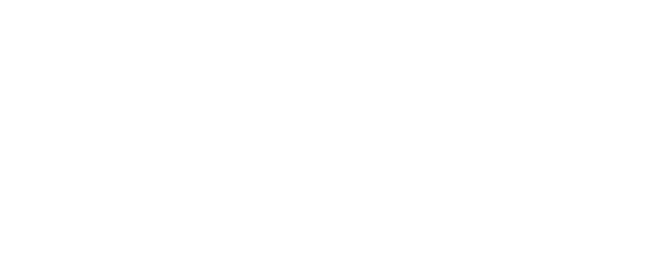 Dr Henrique Gandolfi