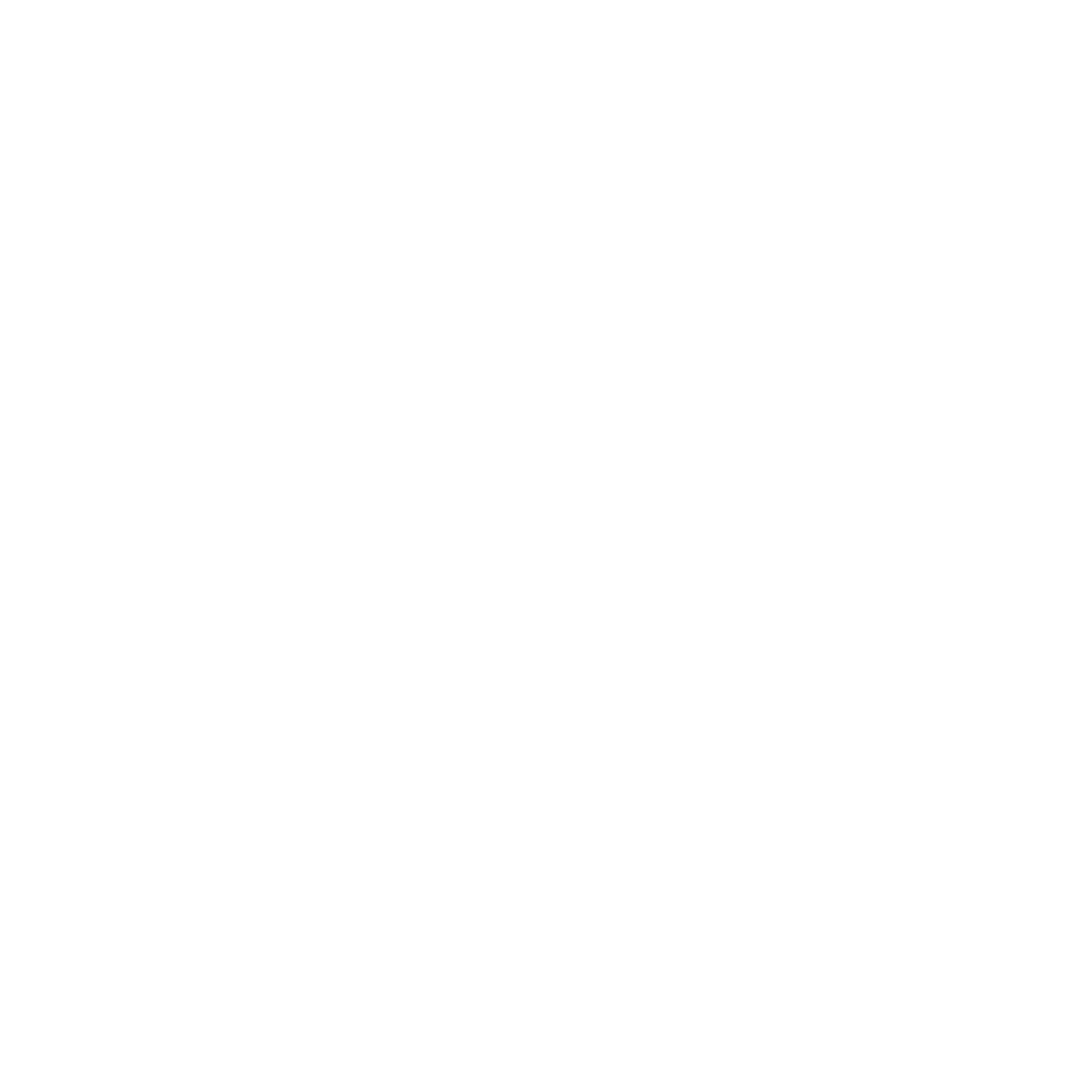 Dr Henrique Gandolfi